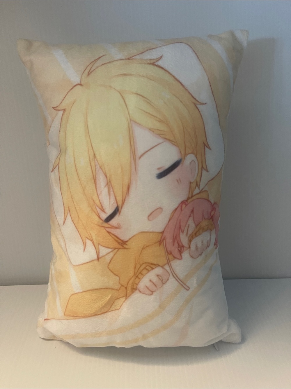 Little Anime pillow
